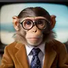 Ryan Eddington - @talkingmonkeynews - TikTok