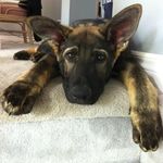 Ryan - @ryan_eden_ - Instagram