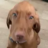 ryanedge8 - @ryanedge8 - TikTok