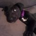 Ryan Edgell - Facebook