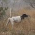 Ryan Eichelberger - Facebook