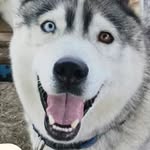 Ryan J. Eickmeier - @ryaneickmeier - Instagram