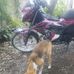 Ryan Alarba - Facebook