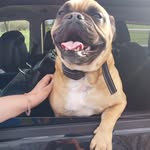 Ryan Ellsworth - @ryan.ellsworth.89 - Instagram