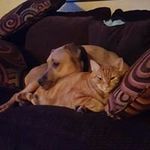ryan emmett - @ryanemmett5221 - Instagram
