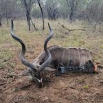 Ryan Emory - @r_emory_az - Instagram