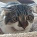 Ryan Engesser - Facebook