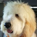 Ryan Engh - @raengh - Instagram