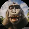 Ryan - @ryanennis13 - TikTok