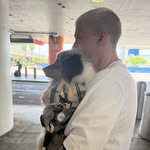 ryanennis - @ryanennis - Instagram