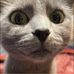Ryan Erler - Facebook
