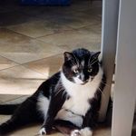 Ryan Erlewine - @talentedmrryan - Instagram