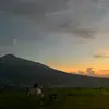 Ryan Ernest - @ryan.ernest54 - TikTok