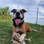 Ryan Esau - @esau.ryan - Instagram