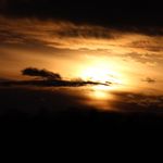 Ryan Etheridge - @anythinggoesphotos - Instagram