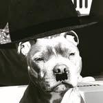 Ryan fallon - @ryanfallon2 - Instagram
