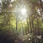 Ryan Featherstone - @ryan.featherstone.269 - Instagram