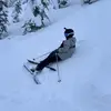 ryanfeehan7 - @ryanfeehan7 - TikTok