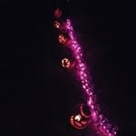 Ryan Feemster - @ryanfeemster - Instagram