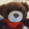 teddybear - @ryanfelder19 - TikTok