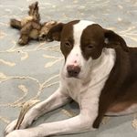 Ryan Feldman - @feldman2385 - Instagram