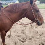 Ryan Felker - @ryfelker - Instagram