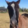 Ryan Felker - @ryanfelker - TikTok