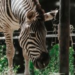 Ryan Fennell - @rytravelz - Instagram