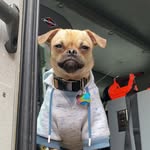 Ryan Ferrell - @ryanferrell74 - Instagram