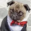 ryanferry225 - @ryanferry225 - TikTok