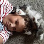 Ryan fetty - @ryan_fettty - Instagram