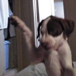 Ryan Findley - @kylewood3436 - Instagram