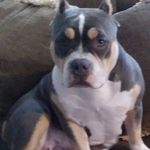 Ryan Findley - @woodkyle0955283823 - Instagram