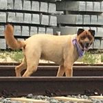 ryan finlayson - @supaninjiryan - Instagram
