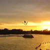 ryanfitts - @ryan.fitts - TikTok