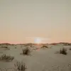 Ryan Fleming - @fleming362 - TikTok