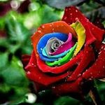 Matthew Ryan Flick - @flickmatthew - Instagram