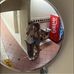 Ryan Flint - Facebook