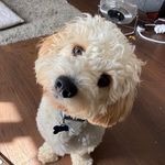 Ryan Flower - @i_dont_know_10139 - Instagram