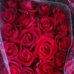 ryan.flower.market - @ryan.flower.market - Instagram