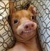 Ryan Foo - Facebook