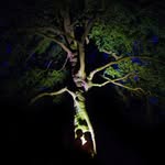 Ryan Forster - @ryan_forster_photographer - Instagram