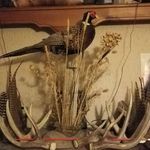 Ryan Fortney - @ryan8330 - Instagram