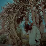 Ryan Fox Lexy - @ryan_fox_lexy_543 - Instagram