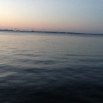 @ryan_fromm_lax_66 - Instagram