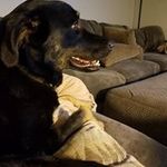 Ryan Fulkerson - @ryan.fulkerson.12 - Instagram
