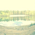Ryan Gagliardi - @ryan_gagliardi - Instagram
