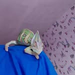 Ryan Galante - @galante1499 - Instagram