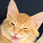 Ryan Galbraith - @ryang_6798 - Instagram