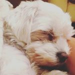 Ryan Galvan - @ryan.galvan.3990 - Instagram